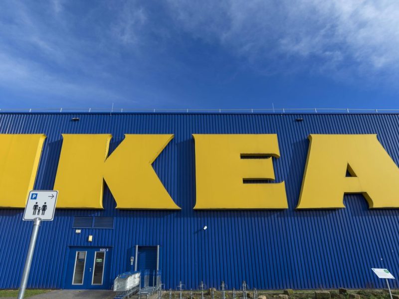 Ein eher seltener Gast hat sich bei Ikea in Braunschweig blicken lassen. Die Mitarbeiter 