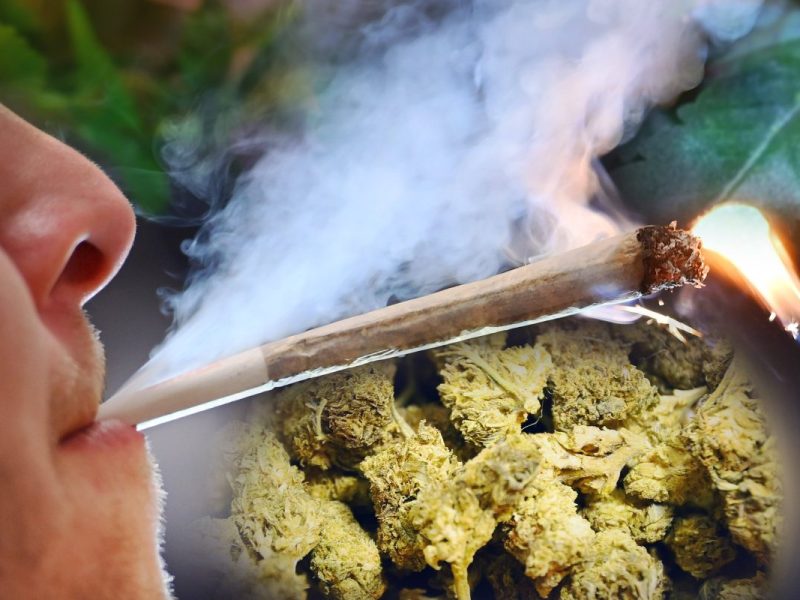 Cannabis Gesetz