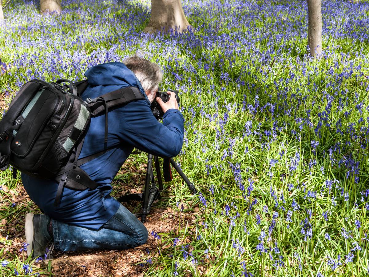 Fotograf im Wald