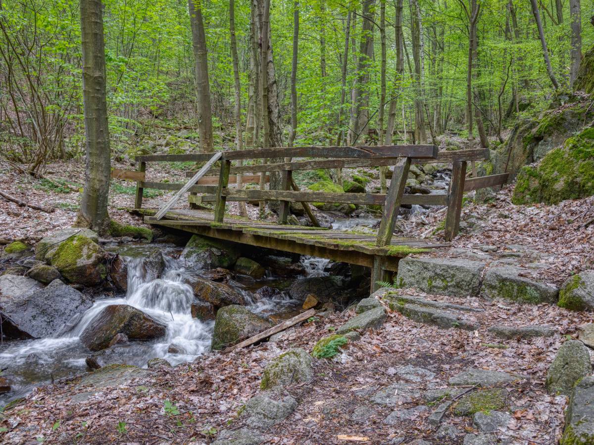 harz wandern