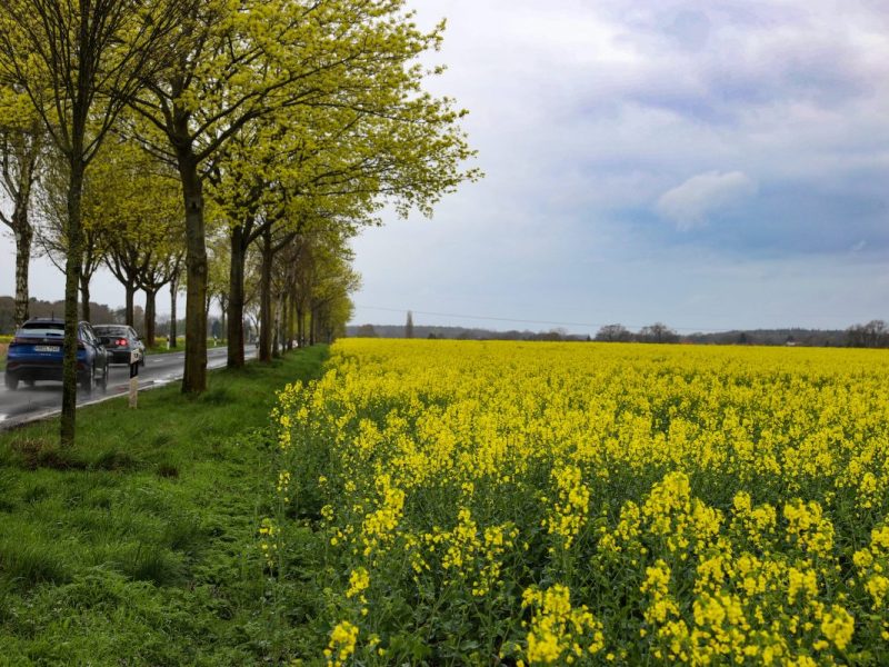 Wetter in Niedersachsen