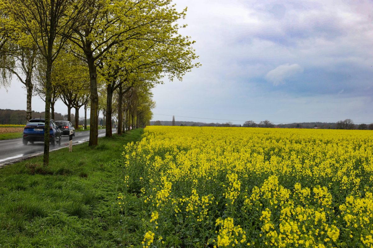 Wetter in Niedersachsen