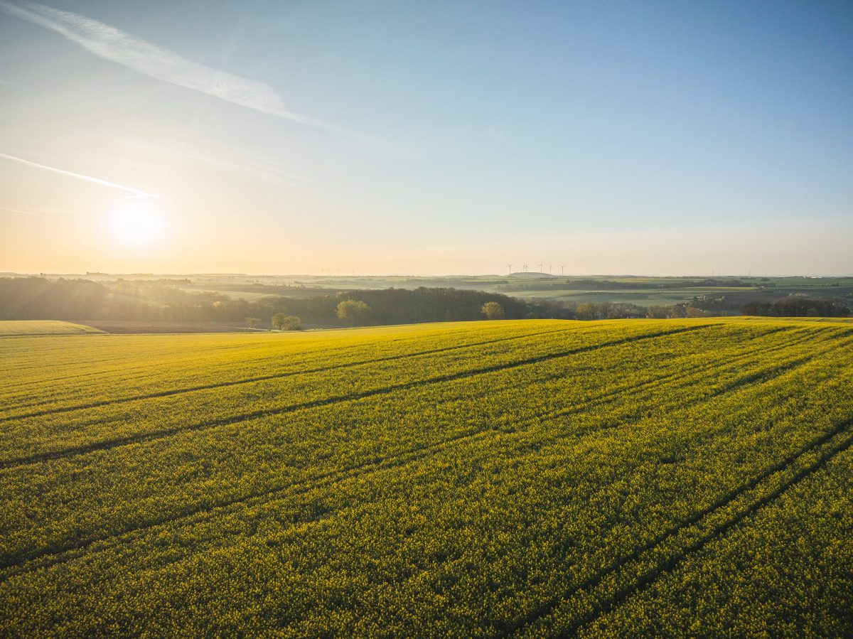 wetter in niedersachsen