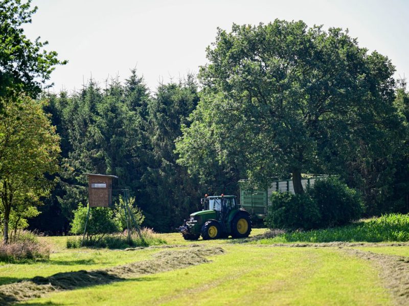 Ein Landwirt fährt mit einem Traktor über eine Wiese nahe des Fundortes einer Kinderleiche.