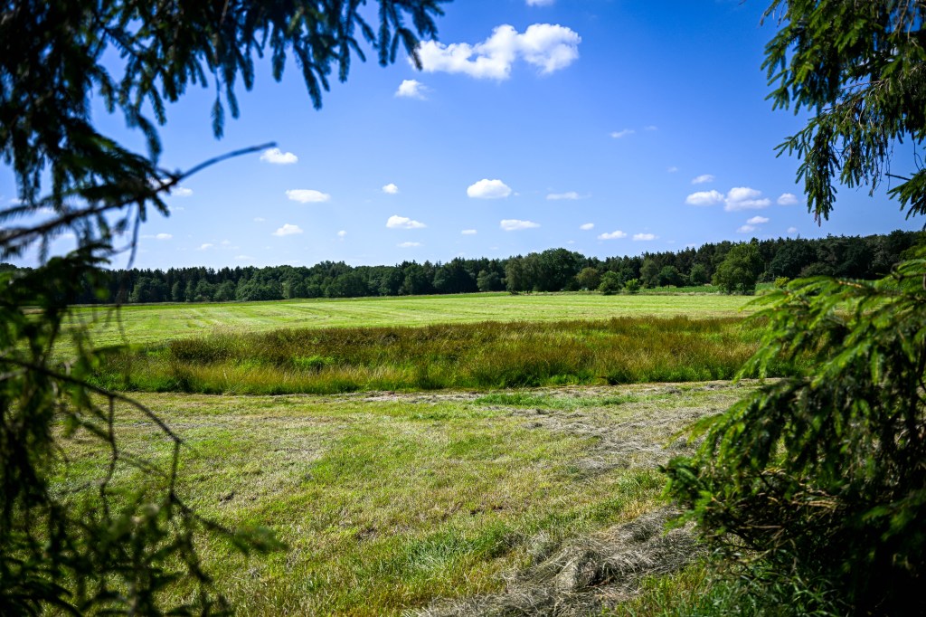 hallo niedersachsen