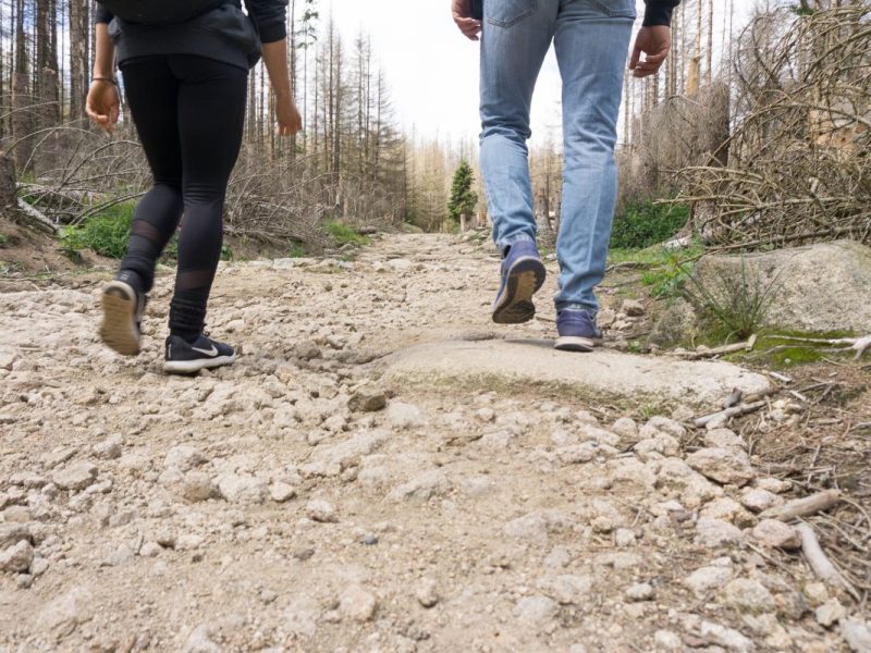 Im Harz musste ein Weg gesperrt werden, weil es hier für Wanderer zu gefährlich ist.