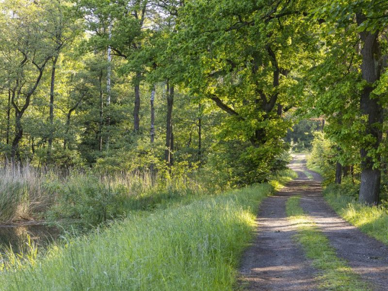 Wetter in Niedersachsen
