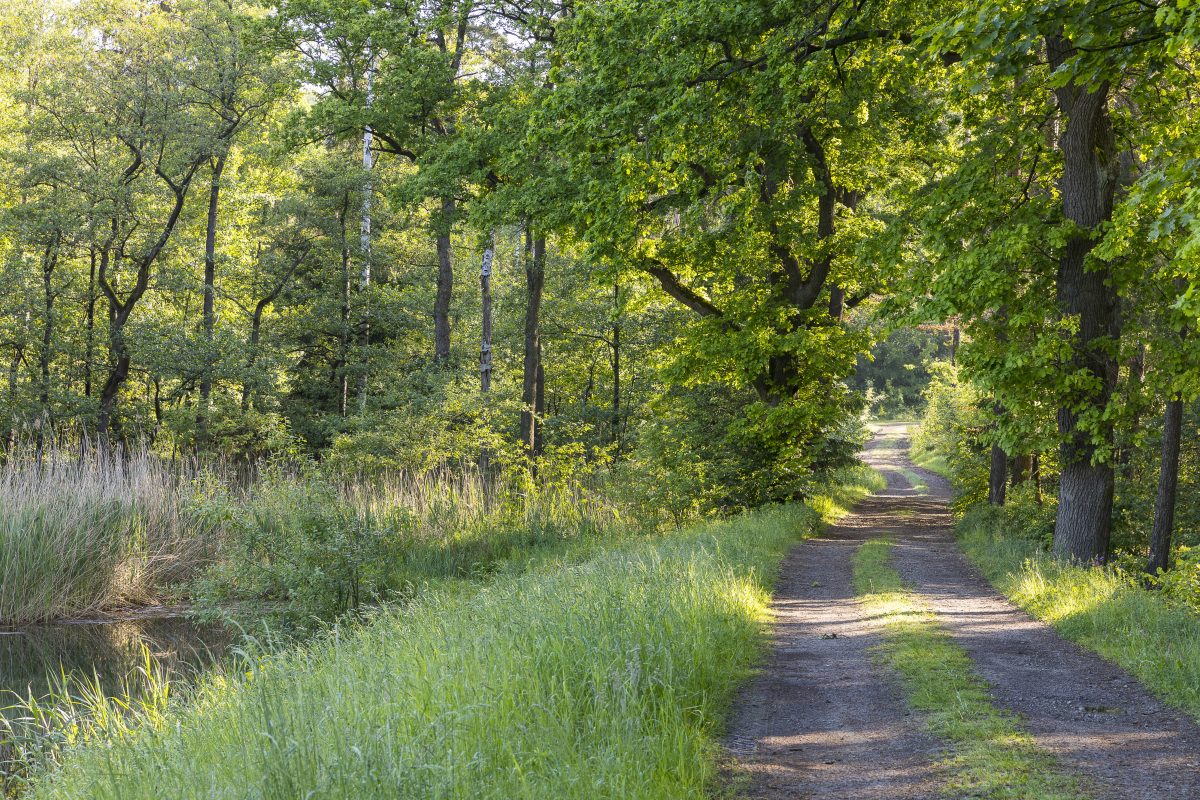 Wetter in Niedersachsen