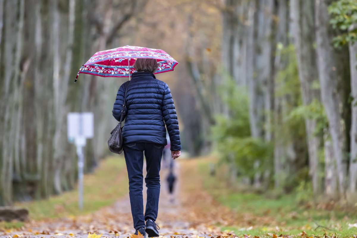 Derzeit herrscht eher Herbststimmung in Niedersachsen - jedenfalls was das Wetter angeht. (Archivbild)