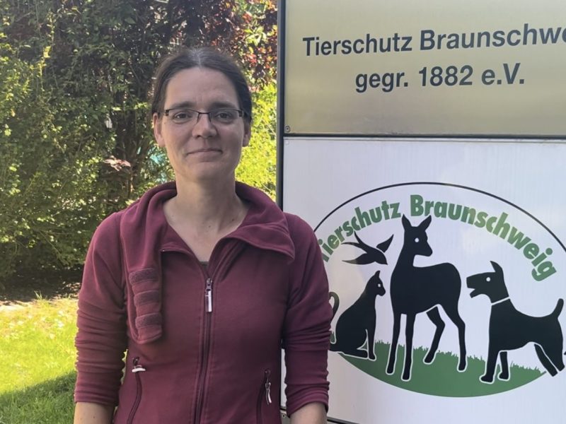 Tierheim Braunschweig