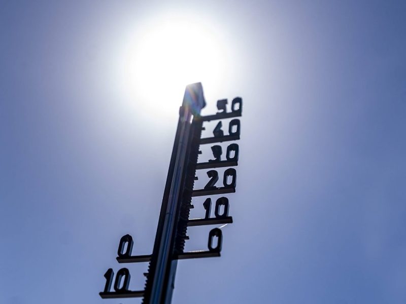 Temperaturen sommer
