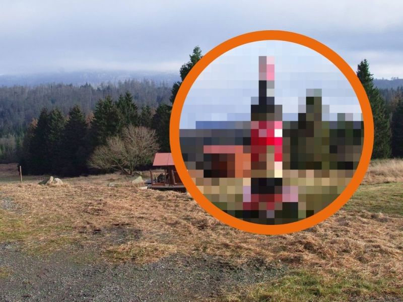 Schierker Feuerstein Flasche im Harz