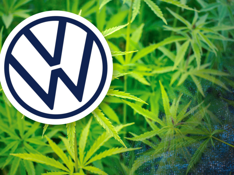 VW testet Hanf.