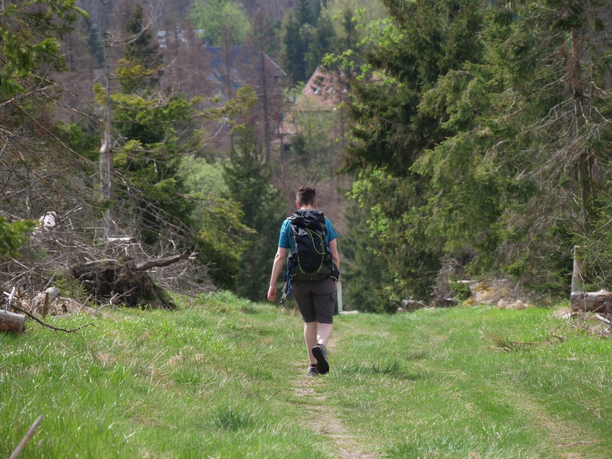 Im Harz wurde eine besondere Entdeckung gemacht. (Symbolbild)