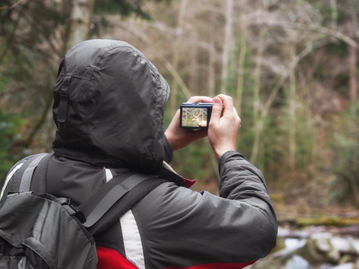 Mann macht Foto im Wald