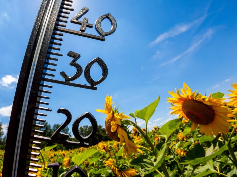 Thermometer