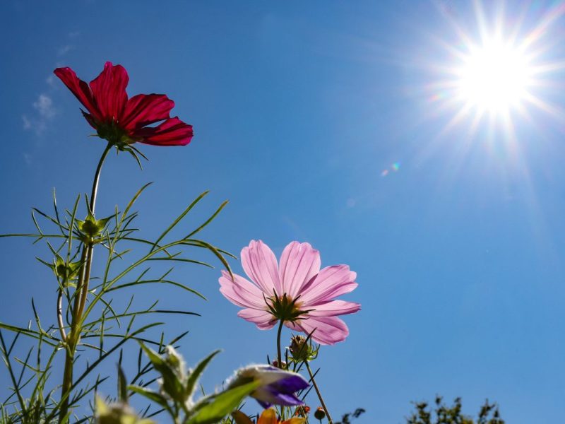 Wetter in Niedersachsen
