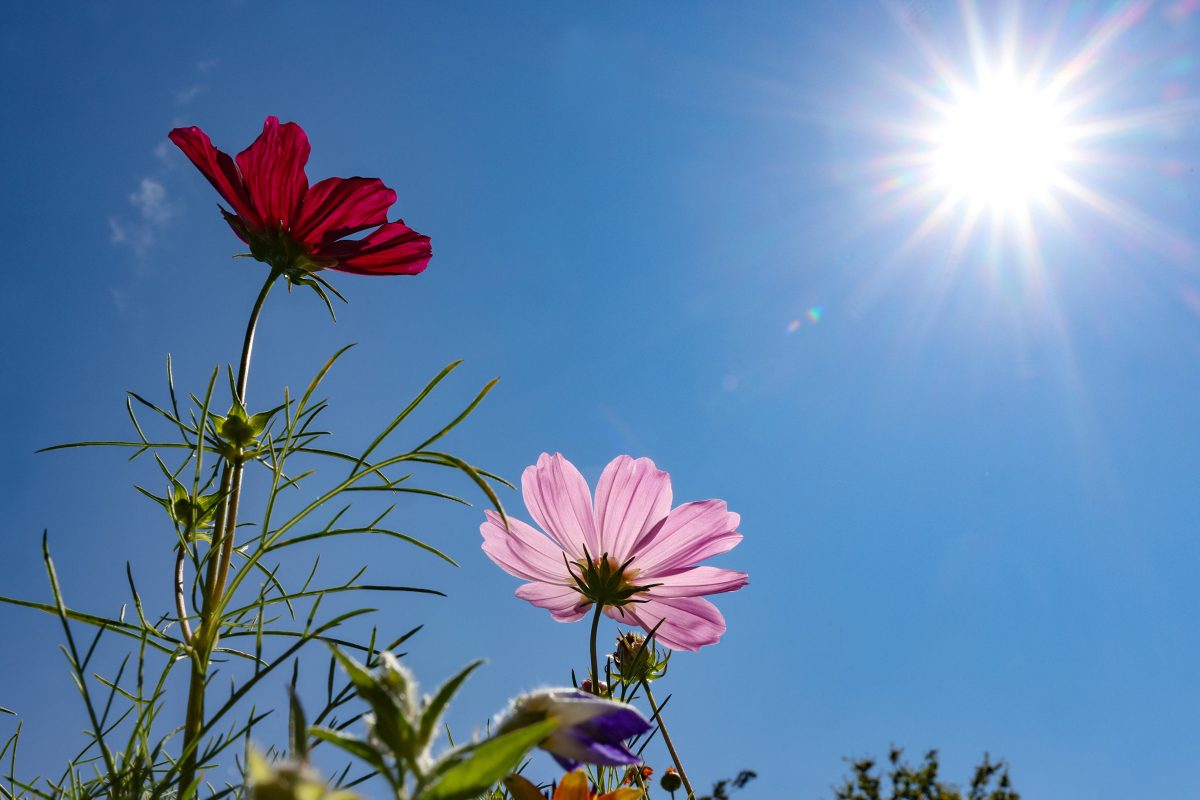 Wetter in Niedersachsen