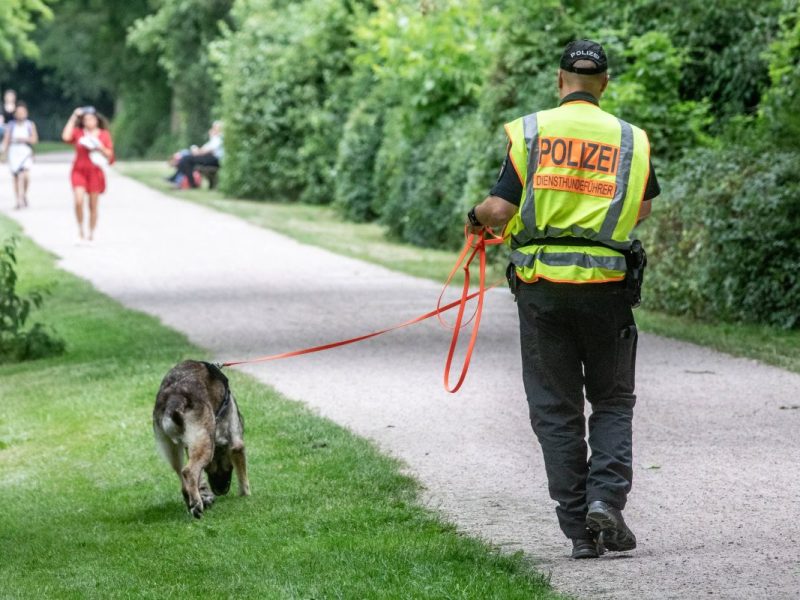 Mit Suchhunden hat die Polizei nach der Seniorin gesucht. (Symbolbild)