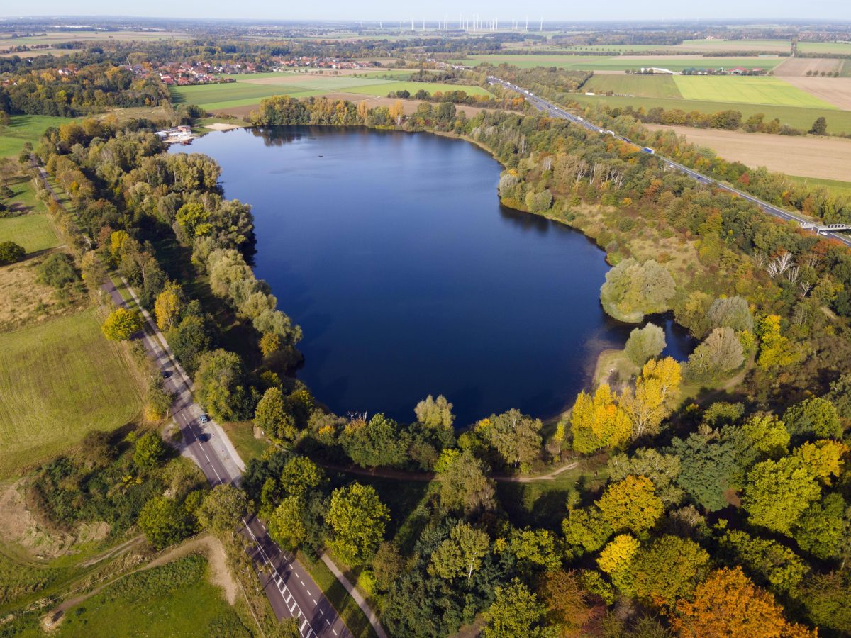 Fundort war ein Gebüsch am Eixer See in Peine.