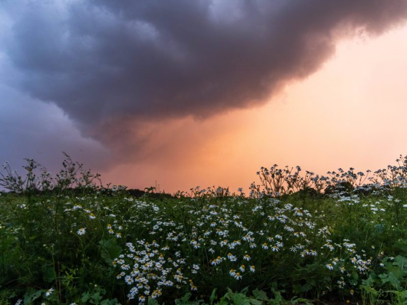 Der Sommer verabschiedet sich mit Regen und Gewittern. (Archivbild)