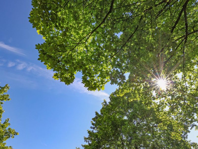 Wetter in Niedersachsen