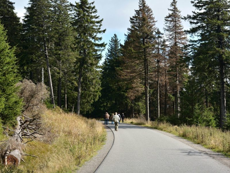Zum jüngsten Waldbrand am Brocken im Harz wird weiter ermittelt. Die Polizei hofft auf Menschen, die am Tag des Ausbruchs fotografiert oder gefilmt haben.