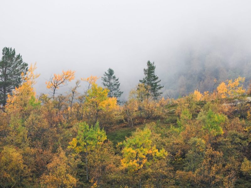 Wetter Niedersachsen