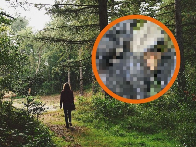 Eine Frau traute ihren Augen bei einem Ausflug in den Wald kaum.