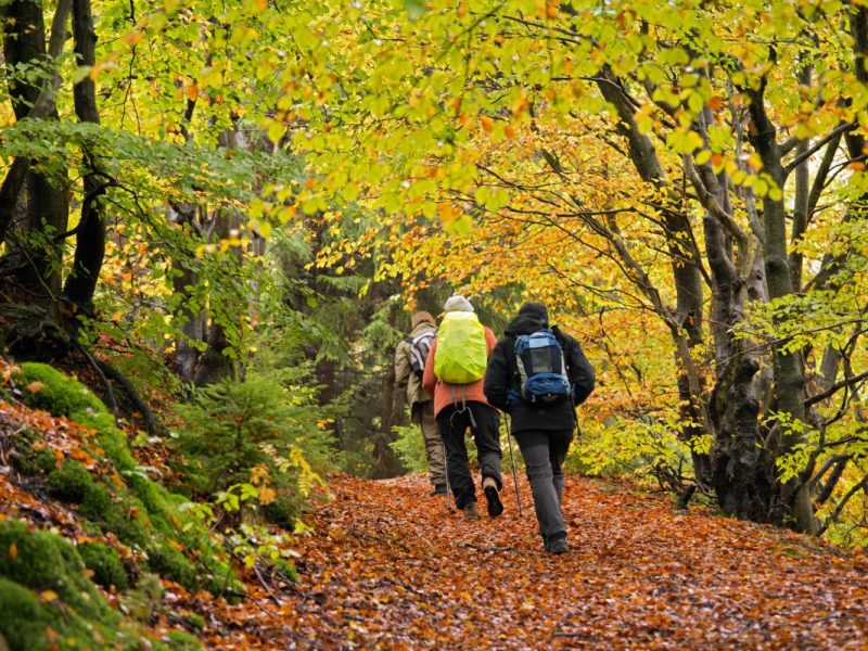 Harz-Wanderer müssen genau aufpassen.