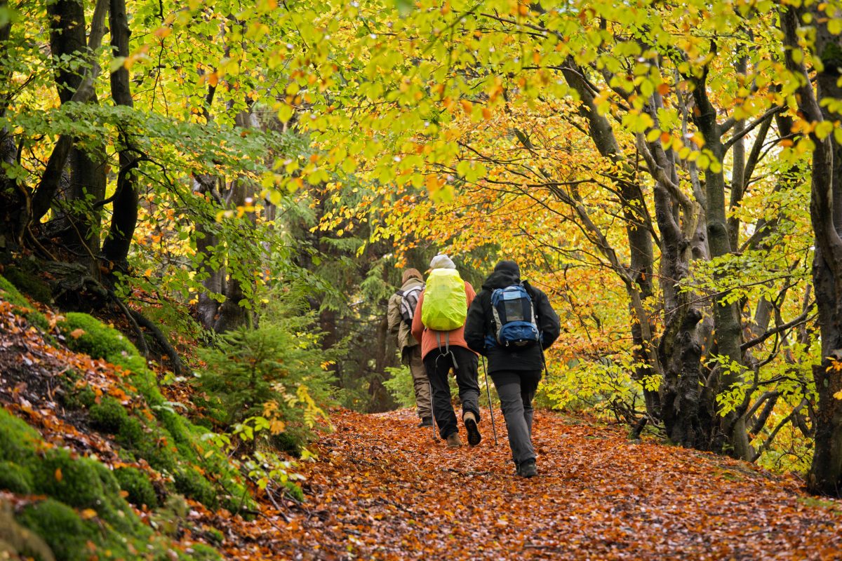 Harz-Wanderer müssen genau aufpassen.