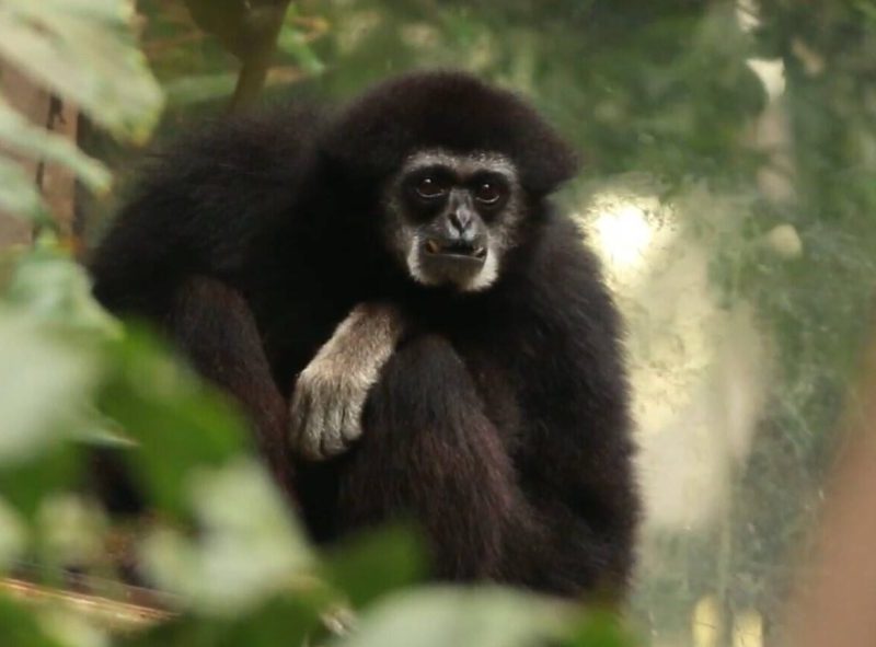 Zoo Braunschweig