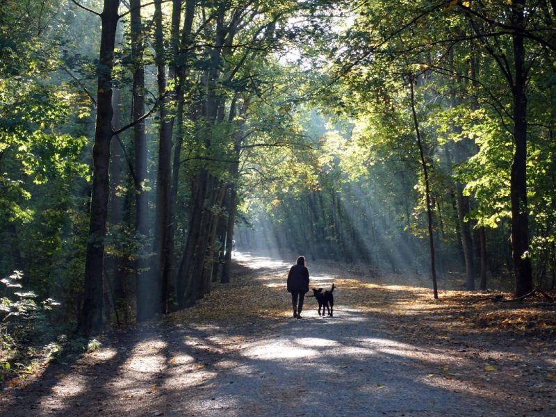 Wolfsburgerin erlebt den Horror-Moment ihres Lebens – nur ihre Schreie können ihr helfen