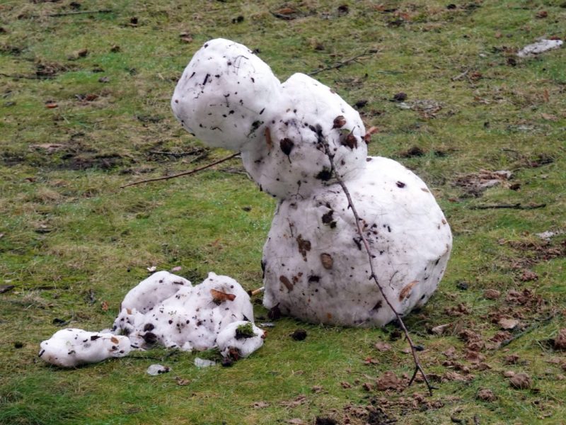 wetter niedersachsen