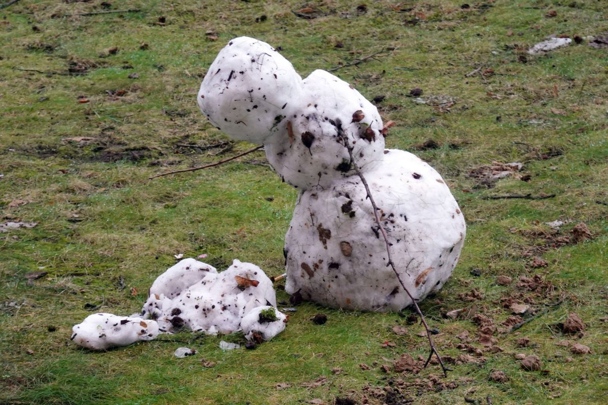 wetter niedersachsen