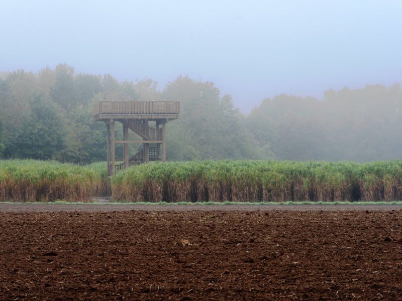 wetter niedersachsen