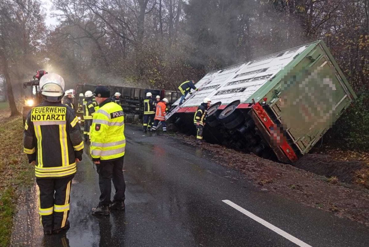 Bei einem schlimmen Unfall bei Gifhorn sind viele Tiere gestorben.