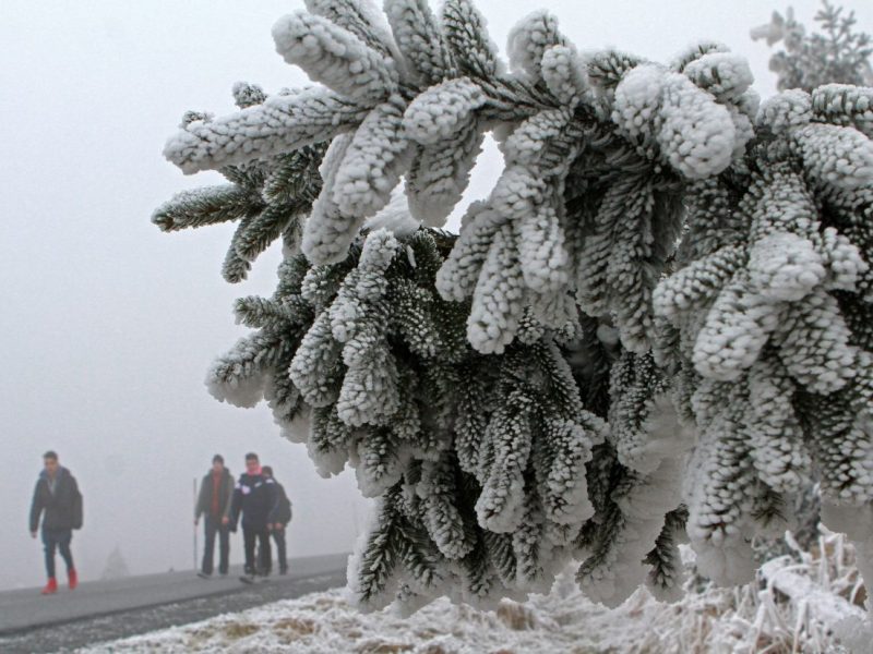 Im Harz lauert derzeit eine Gefahr, die viele Touristen unterschätzen. (Archivbild)