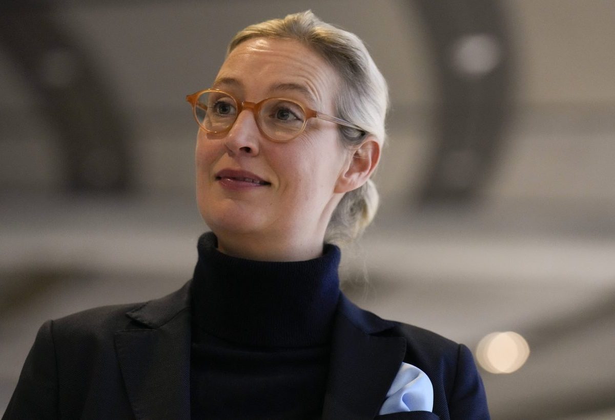 Steuergeschenke fÃ¼r Top-Verdiener: Weidel und die AfD