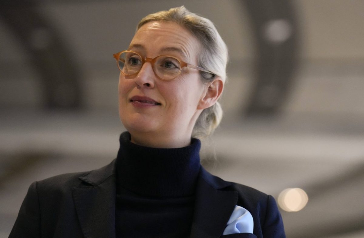 Steuergeschenke fÃ¼r Top-Verdiener: Weidel und die AfD