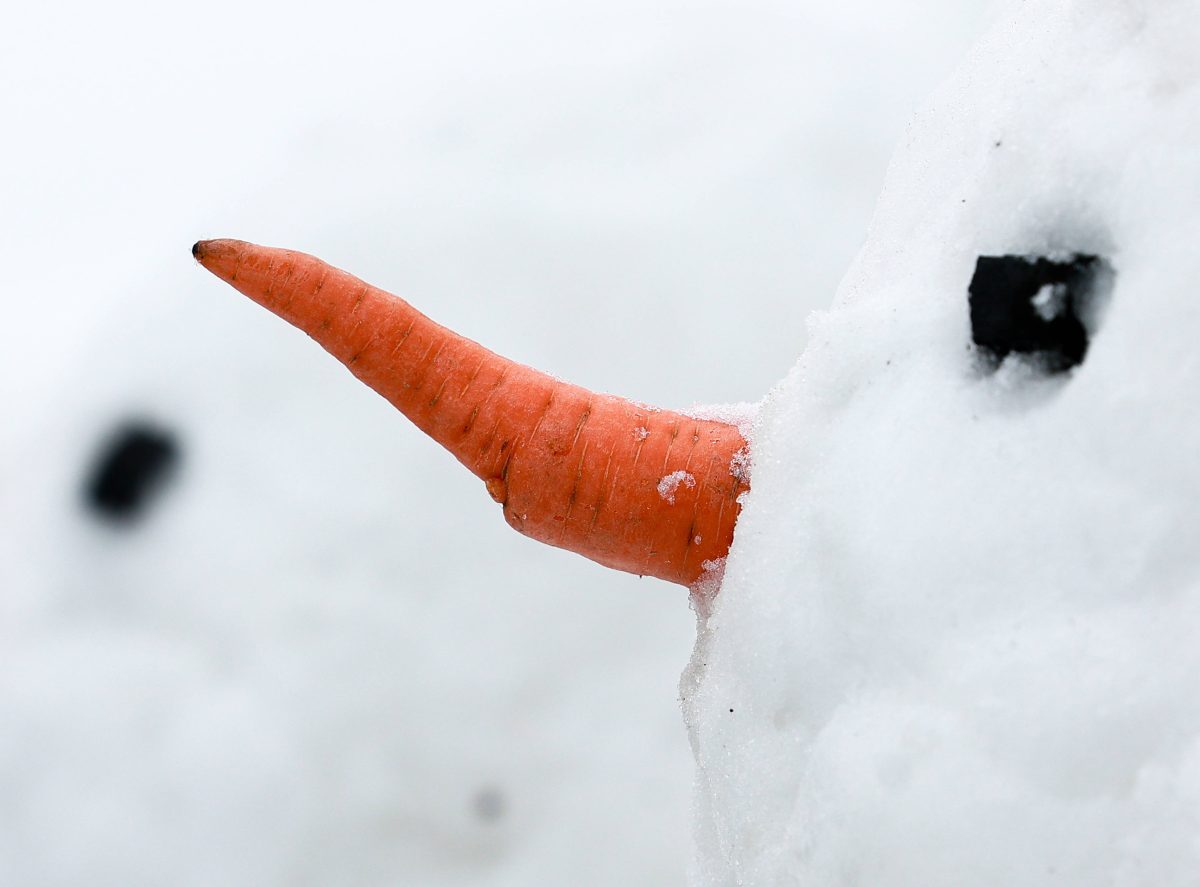 Uns erwarten mal wieder grÃ¼ne statt weiÃŸe Weihnachten...