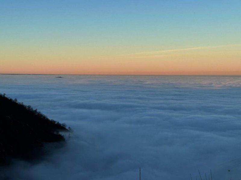 Die Aussicht vom Hexentanzplatz zeigt die Kleinstadt Thale im Harz komplett in Nebel gehüllt