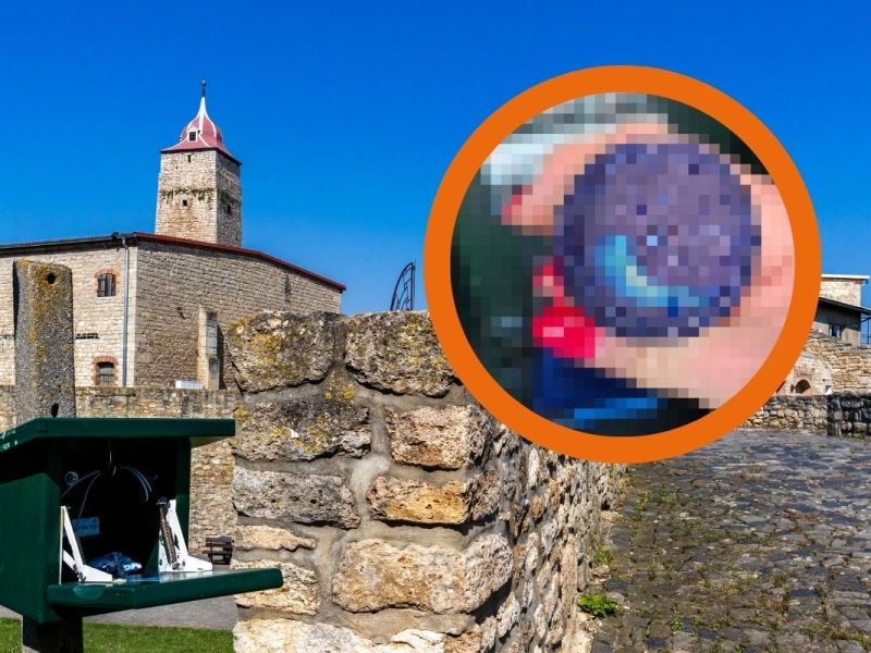 Harz Stempelstelle Burg Hausneindorf Selke