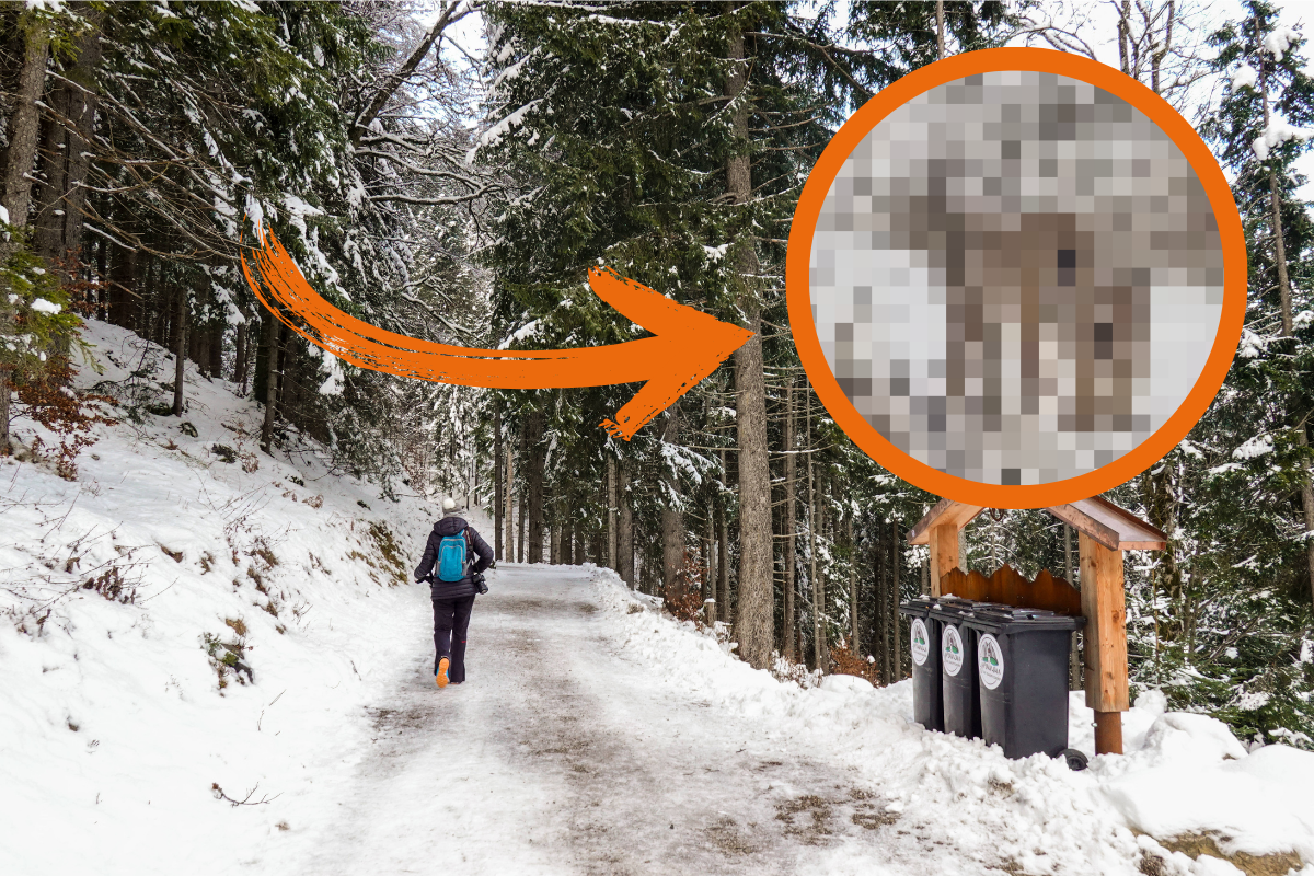 Ein Wanderer hat im Harz eine unglaubliche Entdeckung gemacht.