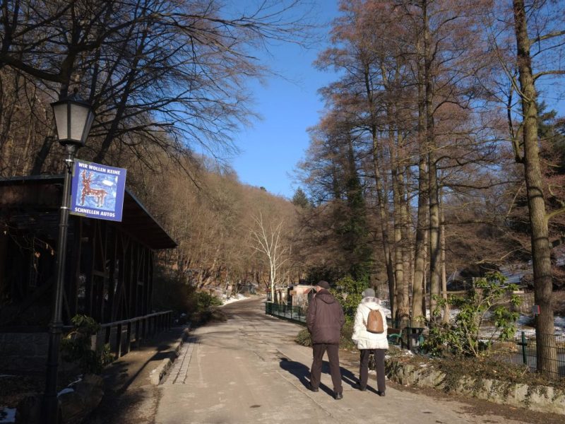 Besucher gehen im Harzer Wildpark in Wernigerode spazieren (Symbolbild)