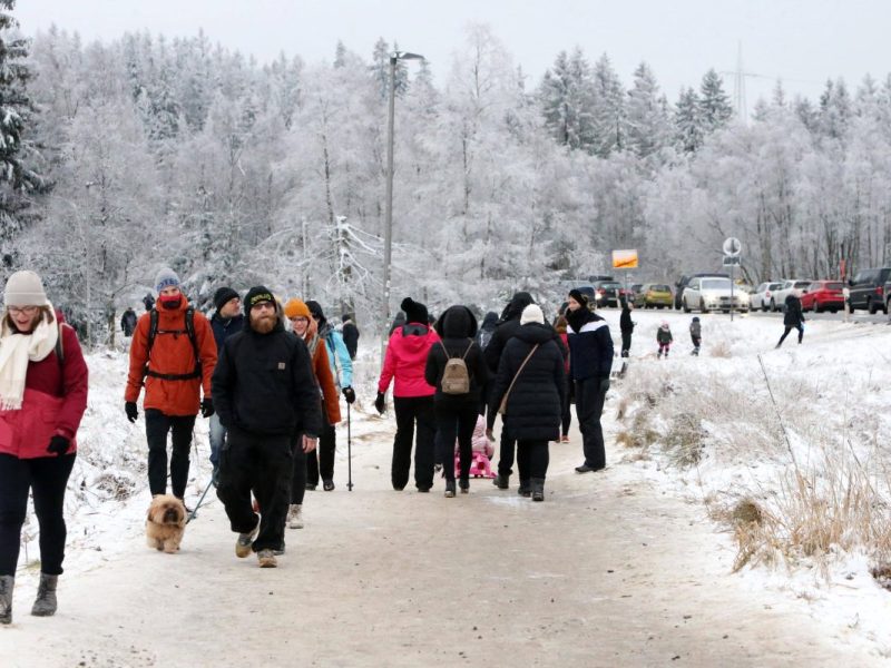 Harz