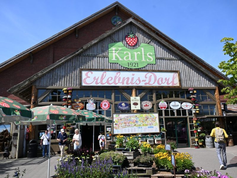 Harz