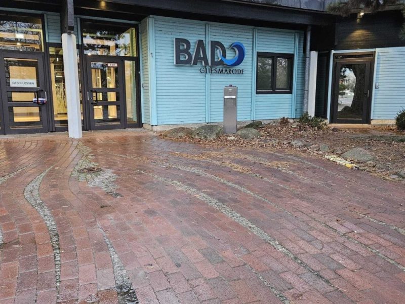 Blick auf das Gliesmaroder Bad in Braunschweig, wo die bronzefarbene Krokodil-Figur einst stand.