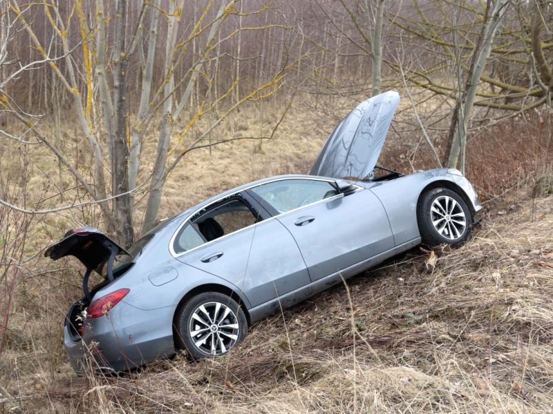 Der Fahrer des Mercedes erlag seinen schweren Verletzungen.