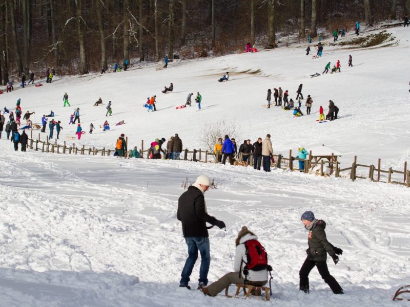 Harz